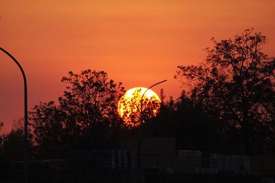 Silhouette trees against orange sky during sunset