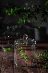 Close-up of illuminated light bulb