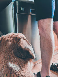 Close-up of man with dog