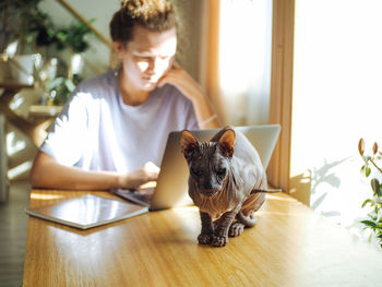 Young pretty woman in homewear working at home, using laptop, sphynx cat on a foreground