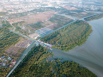 Scenery of malays fishing village near mangrove tree forest.