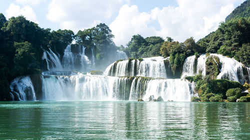 Scenic view of waterfall in forest