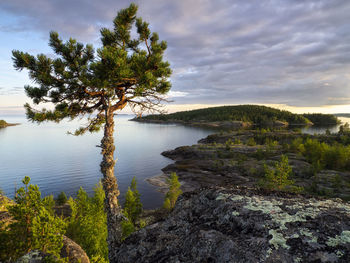 Scenic view of lake against sky