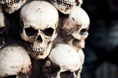 Close-up of human skull