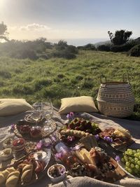 Flower pots on table by field against sky