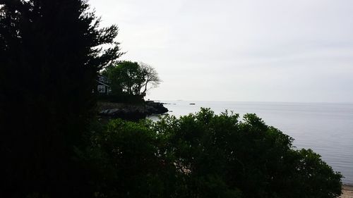 Silhouette trees by sea against sky