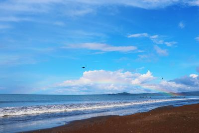 Seagull flying over beach