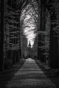 Rear view of man in forest