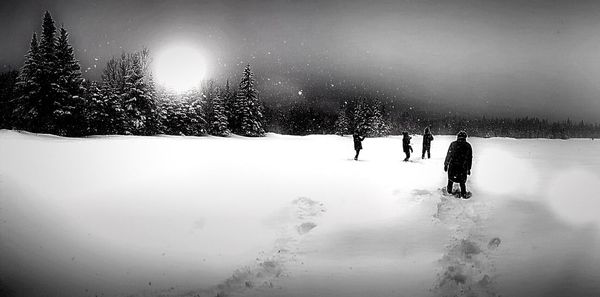 Snow covered landscape