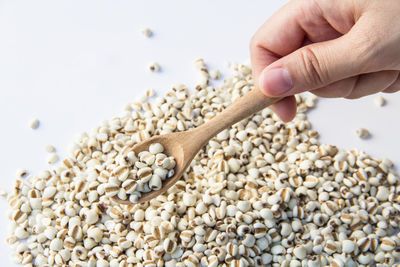 Close-up of hand barley in spoon on white background