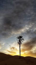 Silhouette palm trees against sky during sunset