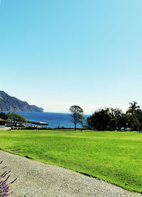 Scenic view of field against clear sky