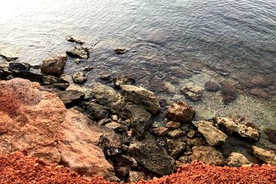 High angle view of rocks on beach