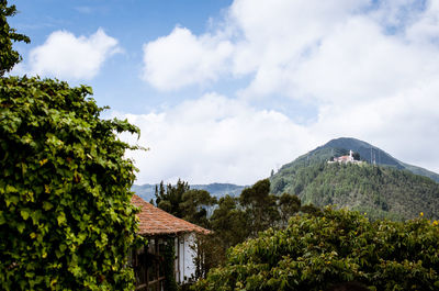 Houses and trees against sky