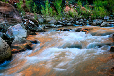 River flowing through rocks in forest