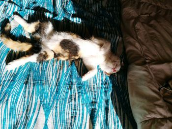 High angle view of cat sleeping on bed at home