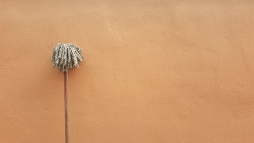 Mop against wall