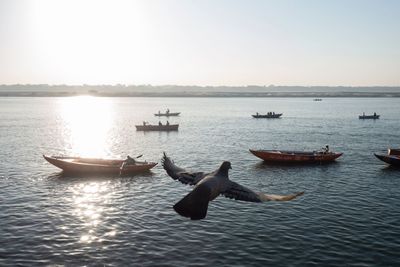 Boats in sea against clear sky