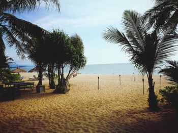 Scenic view of beach against sky