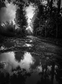 Reflection of trees in lake against sky in forest