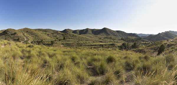 Scenic view of landscape against clear sky