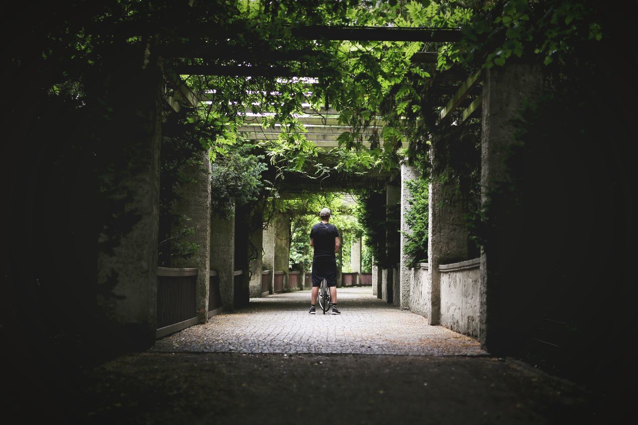 Rear view of man standing under trellis