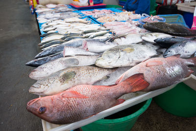 High angle view of fish for sale at market