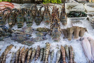 High angle view of fish for sale in market