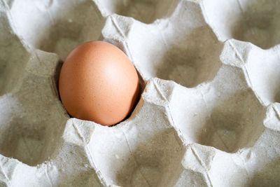 High angle view of eggs on white background