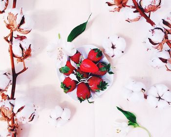 Directly above shot of strawberries on plate