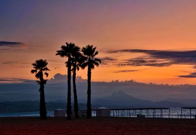 Silhouette palm trees by sea against sky at sunset