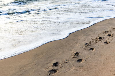 Scenic view of beach