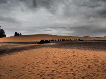 Scenic view of desert against sky during sunset