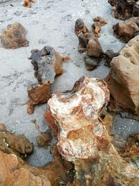 Close-up of rock on beach