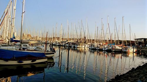 Sailboats in marina