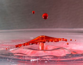 Close-up of red berries in water