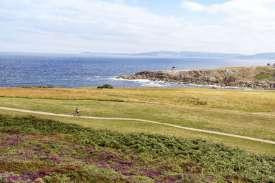 Grass, flowers and ride on the coast of pontevedra. a coruña. galicia