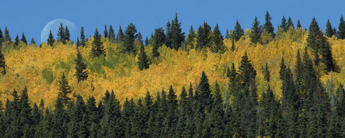 Scenic view of landscape against blue sky