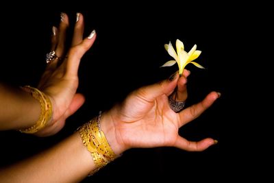 Close-up of hand holding flower over white background