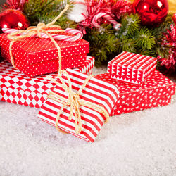 Close-up of christmas tree