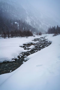 Scenic view of snow covered land and trees