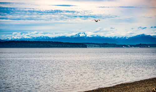 A landscape photo of the olympic mountain range across the puget sound. in washington state.