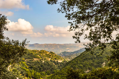 View of hills in crete with trees in the foreground