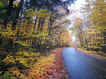 Road amidst trees in forest during autumn