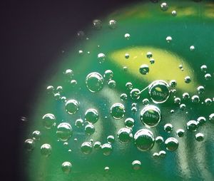 Close-up of water drops on leaf