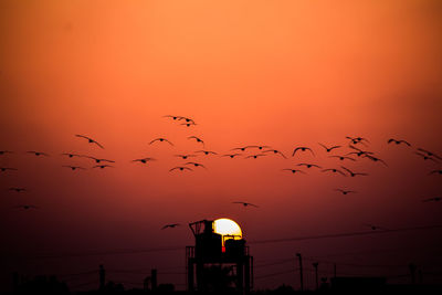 Silhouette birds flying against romantic sky at sunset