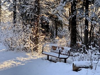 Snow covered bench by trees on field during winter