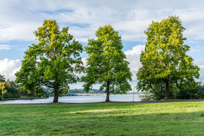 A view of the shoreline of lake washington in seattle.