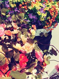 Close-up of flowers growing on tree