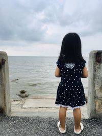 Rear view of woman standing on sea shore against sky